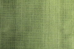 Bridgeway - Green